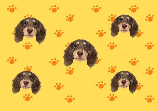 🐾 Your Pet Sees You—Introducing Care&It's Custom Pajamas Made Just for Them!