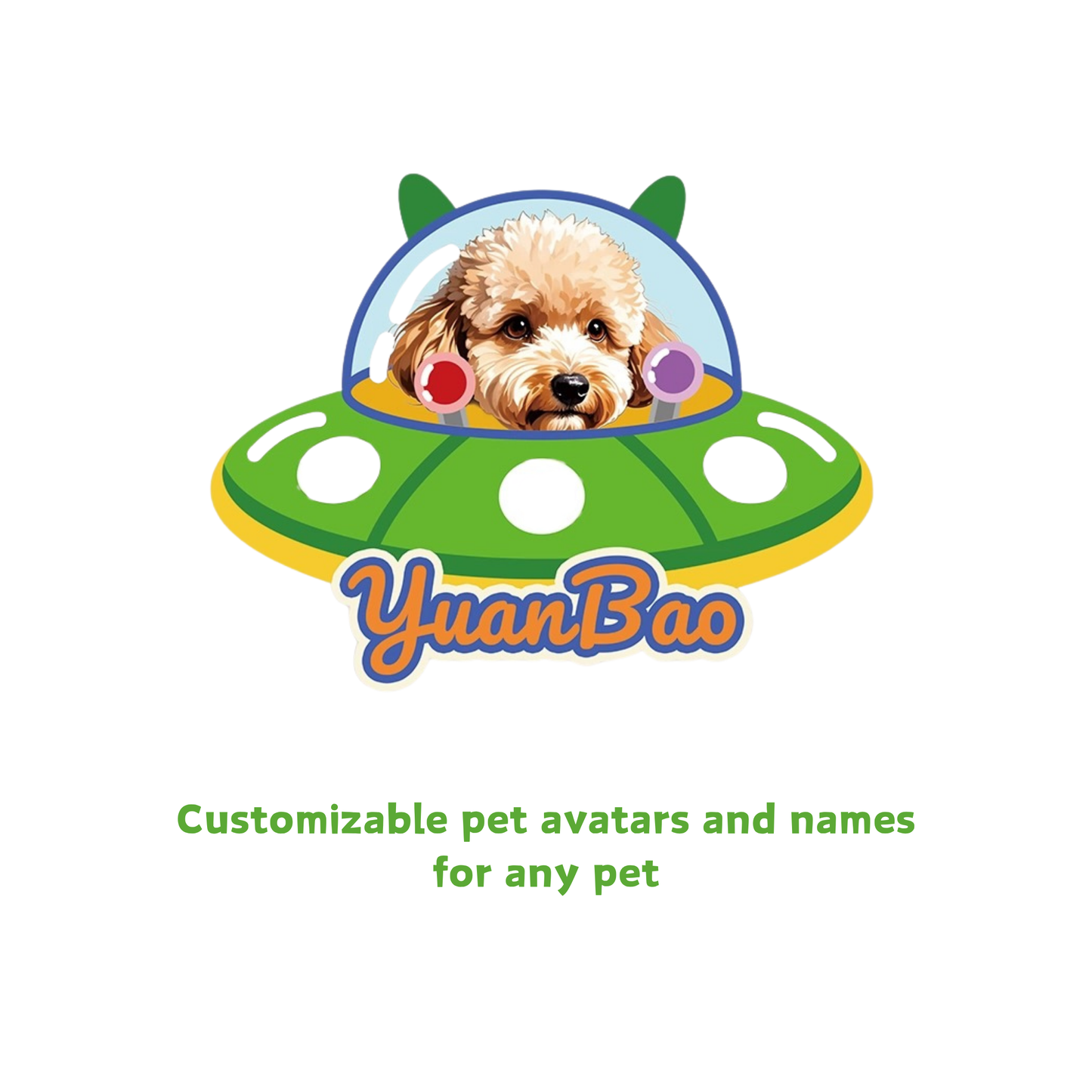 Custom Pet Photo Fridge Magnets – Hand-Drawn & Resin Coated, No Minimum
