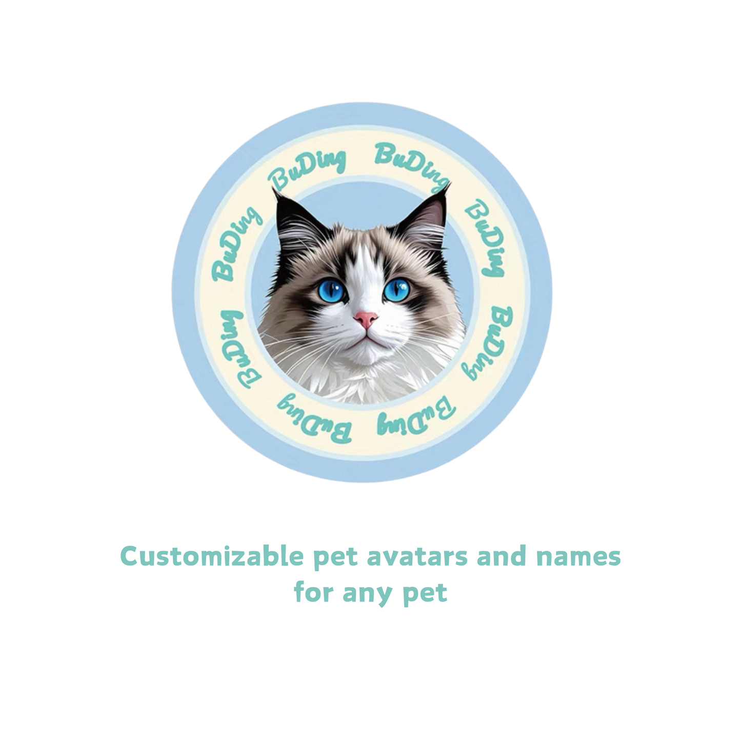 Custom Pet Photo Fridge Magnets – Hand-Drawn & Resin Coated, No Minimum
