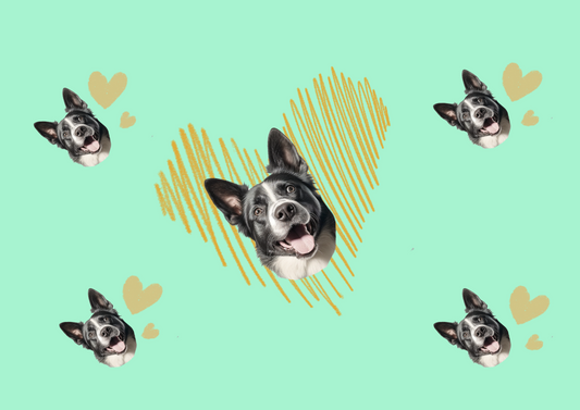 Can Pajamas Make Your Pet Love You More? Ours Just Might. 💛🐾