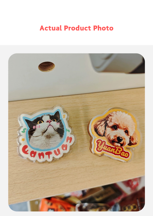 Not Your Average Fridge Magnet – You've Never Seen a Pet Magnet Like This!
