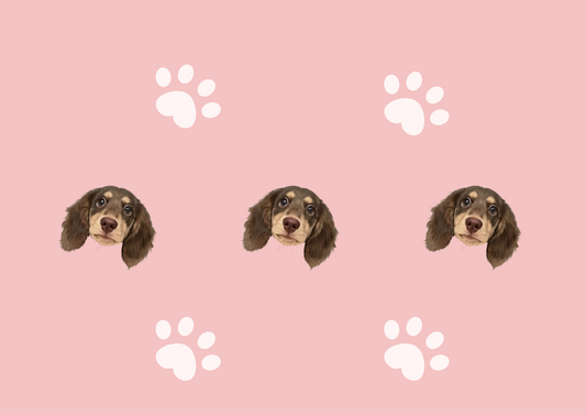 Personalized Pet Pajamas with Your Pet’s Face